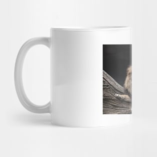 Lion Mug